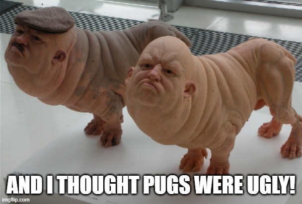 AND I THOUGHT PUGS WERE UGLY! | made w/ Imgflip meme maker