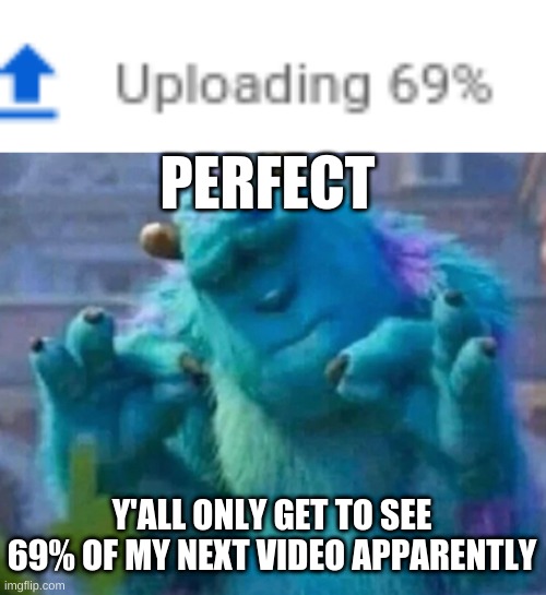 POIFECTO |  PERFECT; Y'ALL ONLY GET TO SEE 69% OF MY NEXT VIDEO APPARENTLY | image tagged in uploaded 69,sullivan perfect | made w/ Imgflip meme maker