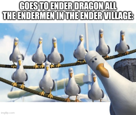 Finding Nemo Seagulls | GOES TO ENDER DRAGON ALL THE ENDERMEN IN THE ENDER VILLAGE: | image tagged in finding nemo seagulls | made w/ Imgflip meme maker