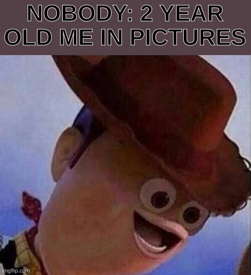 Derp Woody | NOBODY: 2 YEAR OLD ME IN PICTURES | image tagged in derp woody | made w/ Imgflip meme maker