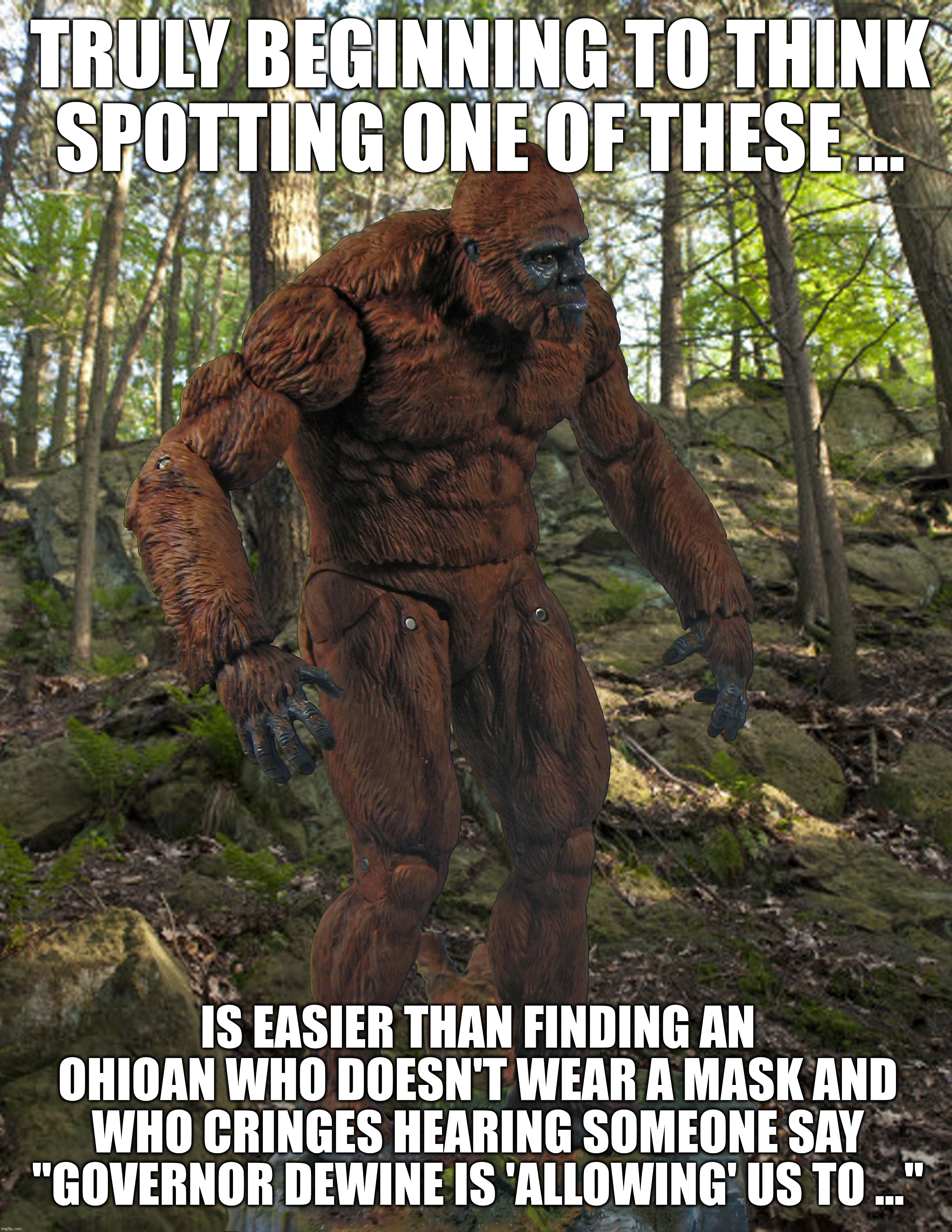 Spotting Sasquatch | TRULY BEGINNING TO THINK SPOTTING ONE OF THESE ... IS EASIER THAN FINDING AN OHIOAN WHO DOESN'T WEAR A MASK AND WHO CRINGES HEARING SOMEONE SAY "GOVERNOR DEWINE IS 'ALLOWING' US TO ..." | image tagged in sasquatch,masks,ohio,covidiots | made w/ Imgflip meme maker