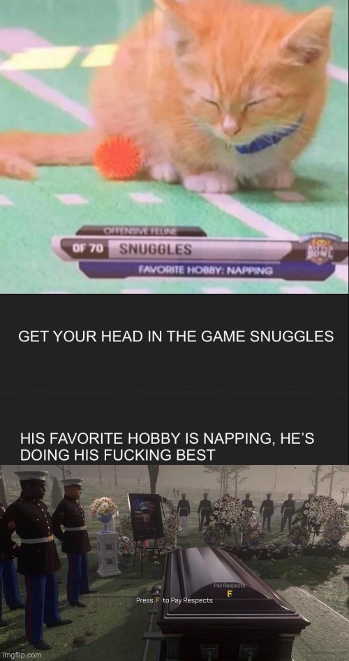 Rip Snuggles | image tagged in press f to pay respects | made w/ Imgflip meme maker