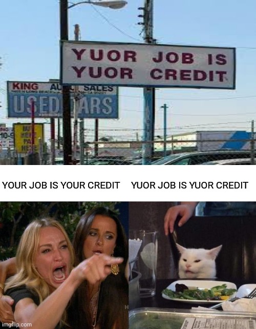 Your job is your credit spelling error | YUOR JOB IS YUOR CREDIT; YOUR JOB IS YOUR CREDIT | image tagged in memes,woman yelling at cat,you had one job,funny,meme,spelling error | made w/ Imgflip meme maker