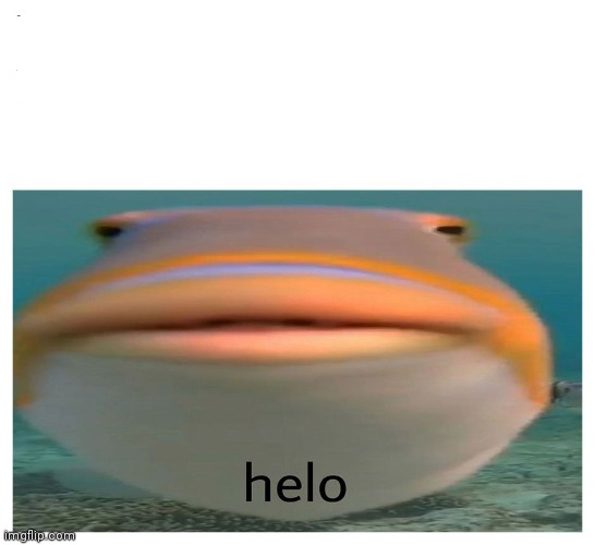 helo fish | image tagged in helo fish | made w/ Imgflip meme maker