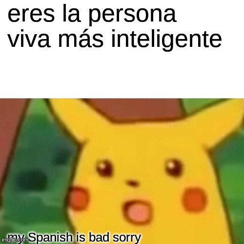 Surprised Pikachu Meme | eres la persona viva más inteligente my Spanish is bad sorry | image tagged in memes,surprised pikachu | made w/ Imgflip meme maker
