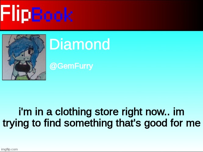 FlipBook profile | Diamond; @GemFurry; i'm in a clothing store right now.. im trying to find something that's good for me | image tagged in flipbook profile | made w/ Imgflip meme maker