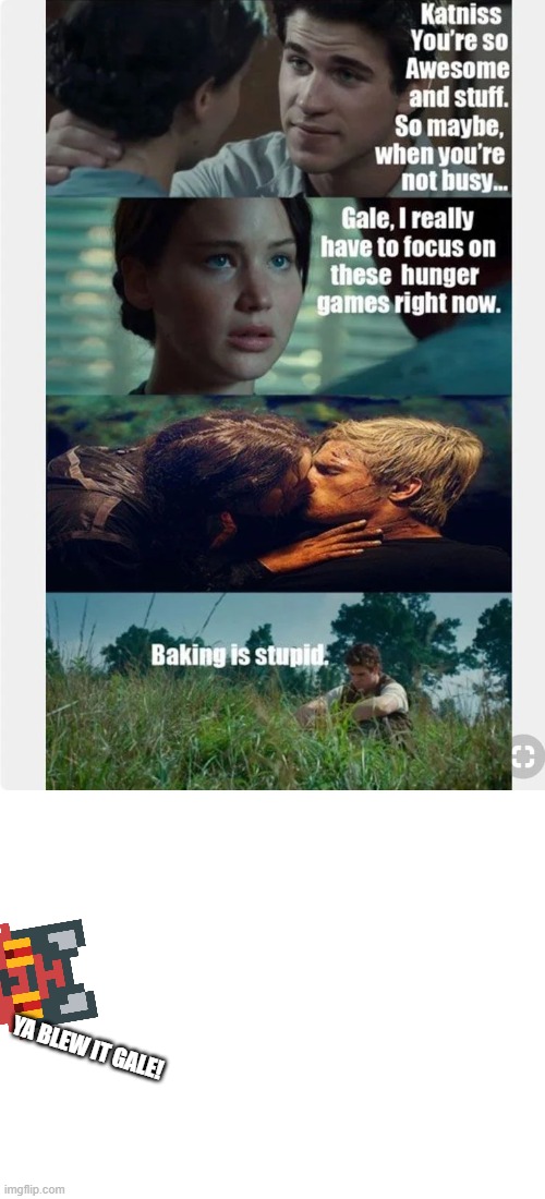 Gale blew it | YA BLEW IT GALE! | image tagged in hunger games | made w/ Imgflip meme maker