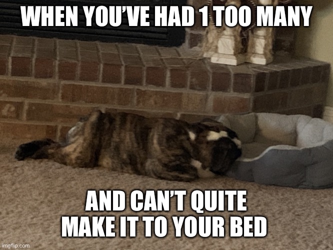 So tired passed out | WHEN YOU’VE HAD 1 TOO MANY; AND CAN’T QUITE MAKE IT TO YOUR BED | image tagged in passed out drunk,tired | made w/ Imgflip meme maker