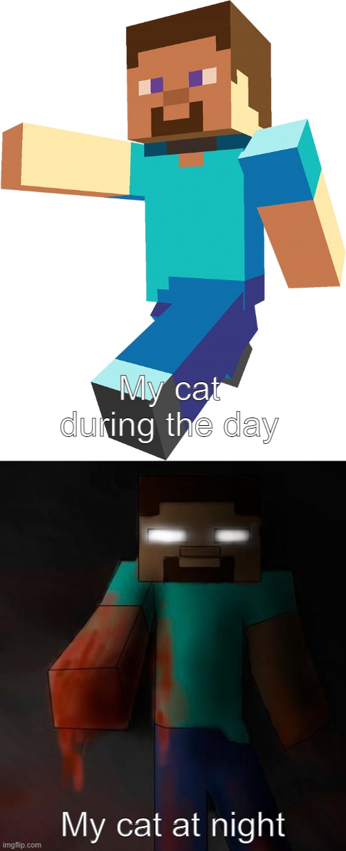 My cat during the day; My cat at night | image tagged in cat,minecraft,herobrine,minecraft steve,cats,night | made w/ Imgflip meme maker