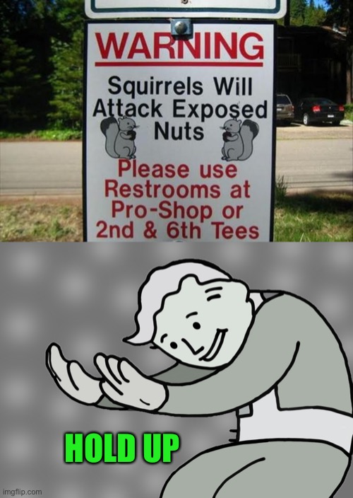 wait-WHAT | HOLD UP | image tagged in hol up,memes,funny,squirrels,oop,funny signs | made w/ Imgflip meme maker
