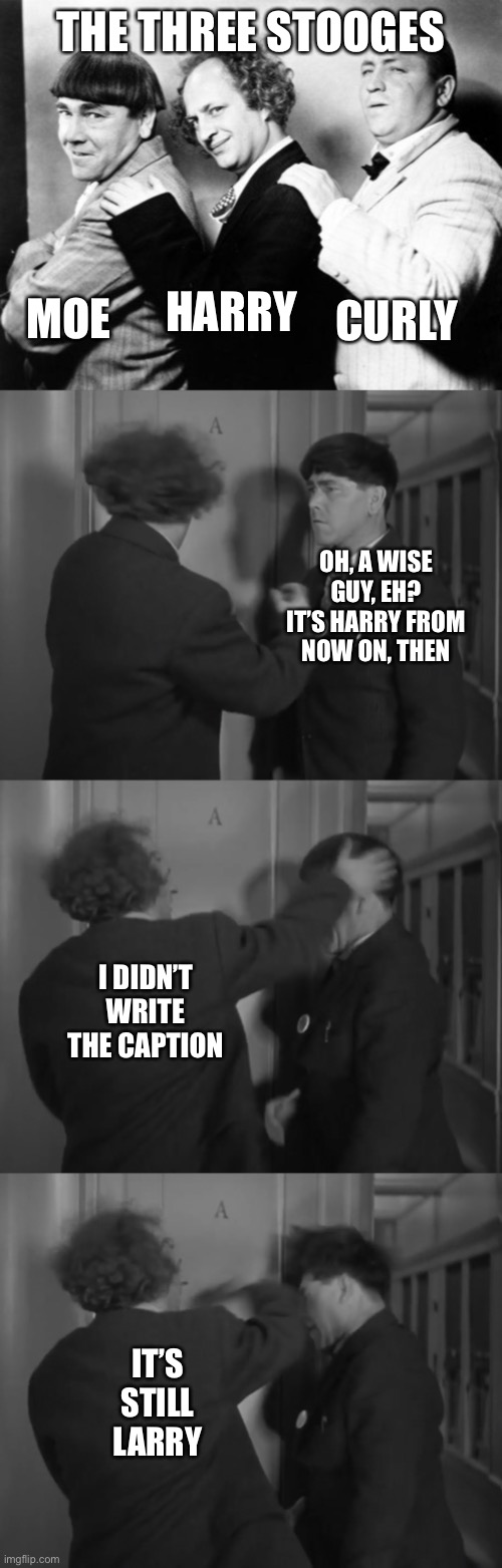 THE THREE STOOGES; MOE; HARRY; CURLY; OH, A WISE GUY, EH? IT’S HARRY FROM NOW ON, THEN; I DIDN’T WRITE THE CAPTION; IT’S STILL LARRY | image tagged in memes | made w/ Imgflip meme maker