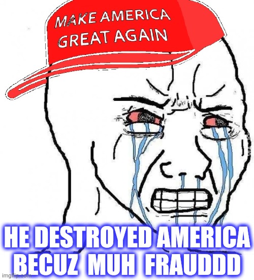Crying wojak maga | HE DESTROYED AMERICA
BECUZ  MUH  FRAUDDD | image tagged in crying wojak maga | made w/ Imgflip meme maker