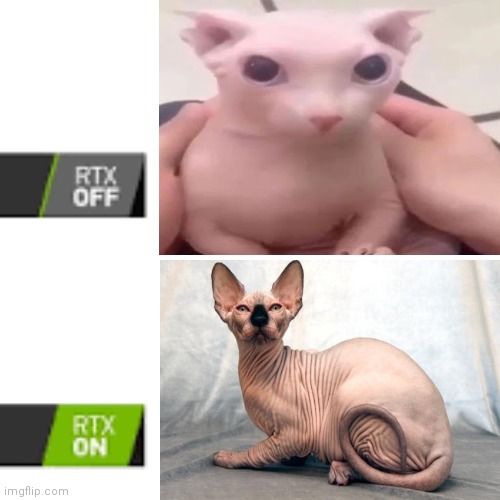 What did they do to bingus | image tagged in rtx | made w/ Imgflip meme maker