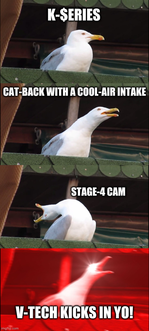 Honda Seagul Swap | K-$ERIES; CAT-BACK WITH A COOL-AIR INTAKE; STAGE-4 CAM; V-TECH KICKS IN YO! | image tagged in memes,inhaling seagull | made w/ Imgflip meme maker