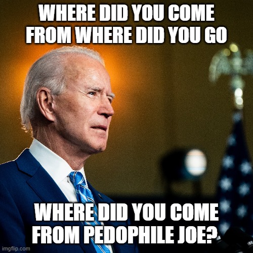 pedophile joe | WHERE DID YOU COME FROM WHERE DID YOU GO; WHERE DID YOU COME FROM PEDOPHILE JOE? | image tagged in joe biden | made w/ Imgflip meme maker