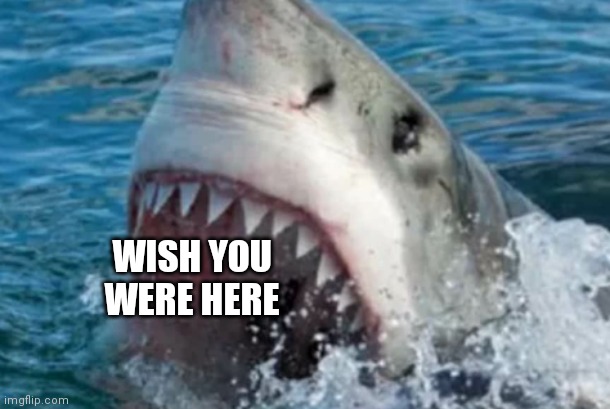 WISH YOU WERE HERE | image tagged in jaws | made w/ Imgflip meme maker