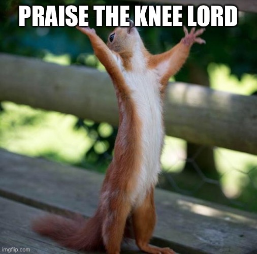 finally | PRAISE THE KNEE LORD | image tagged in finally | made w/ Imgflip meme maker
