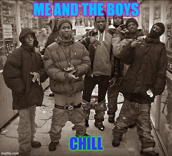 All My Homies Hate | ME AND THE BOYS; CHILL | image tagged in all my homies hate | made w/ Imgflip meme maker