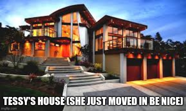 She's working on getting all of her stuff here as of now | TESSY'S HOUSE (SHE JUST MOVED IN BE NICE) | image tagged in tessy,home,occity | made w/ Imgflip meme maker