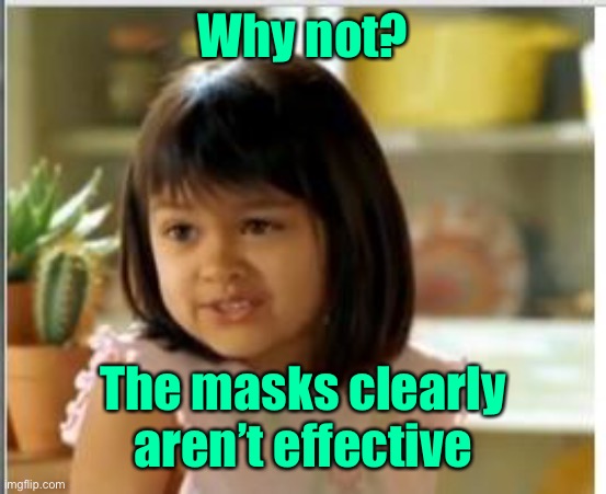 Why not both | Why not? The masks clearly aren’t effective | image tagged in why not both | made w/ Imgflip meme maker