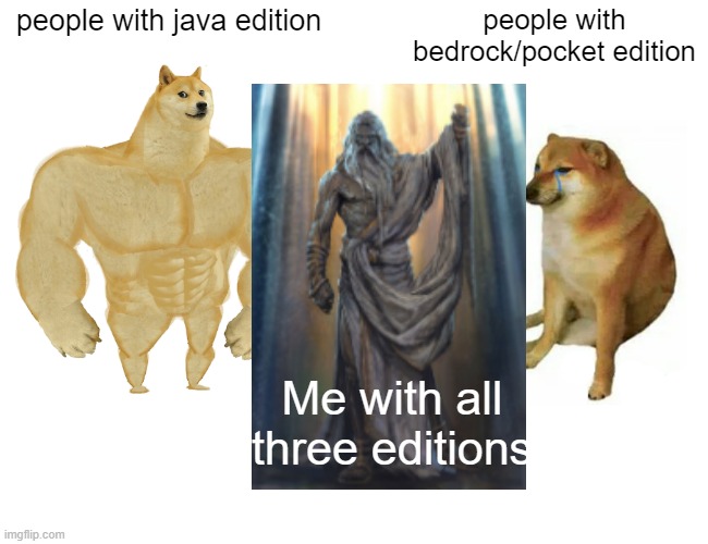 The Minecraft oof | people with java edition; people with bedrock/pocket edition; Me with all three editions | image tagged in memes,minecraft | made w/ Imgflip meme maker