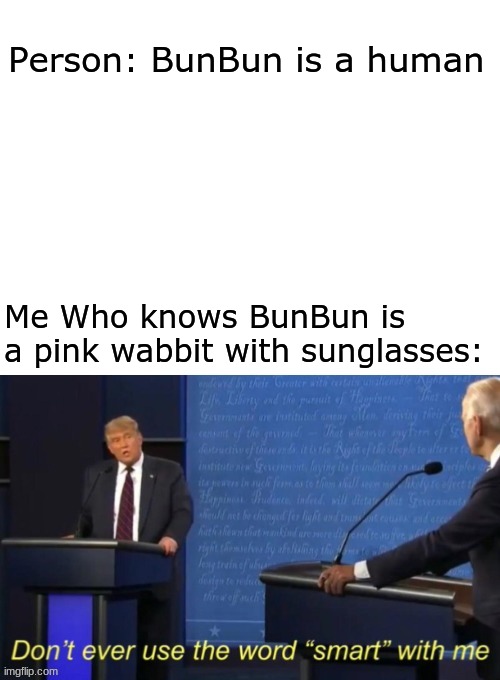 I am the big brain | Person: BunBun is a human; Me Who knows BunBun is a pink wabbit with sunglasses: | image tagged in don't ever use the word smart with me | made w/ Imgflip meme maker