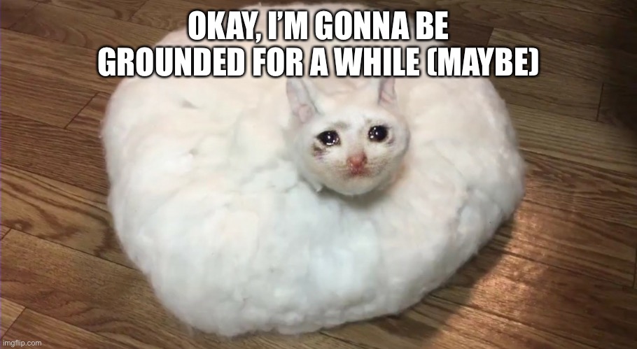 OKAY, I’M GONNA BE GROUNDED FOR A WHILE (MAYBE) | made w/ Imgflip meme maker