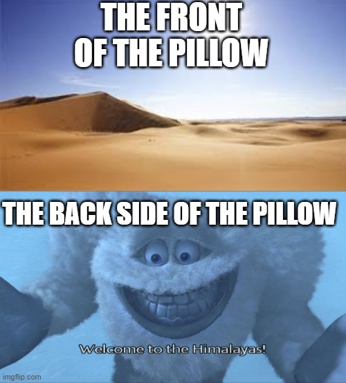 THE FRONT OF THE PILLOW; THE BACK SIDE OF THE PILLOW | image tagged in welcome to the himalayas | made w/ Imgflip meme maker