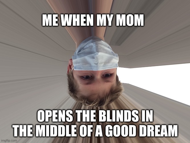 so tru | ME WHEN MY MOM; OPENS THE BLINDS IN THE MIDDLE OF A GOOD DREAM | image tagged in zoned in face | made w/ Imgflip meme maker