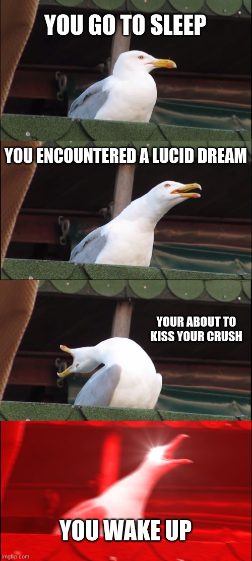 Inhaling Seagull | YOU GO TO SLEEP; YOU ENCOUNTERED A LUCID DREAM; YOUR ABOUT TO KISS YOUR CRUSH; YOU WAKE UP | image tagged in memes,inhaling seagull | made w/ Imgflip meme maker