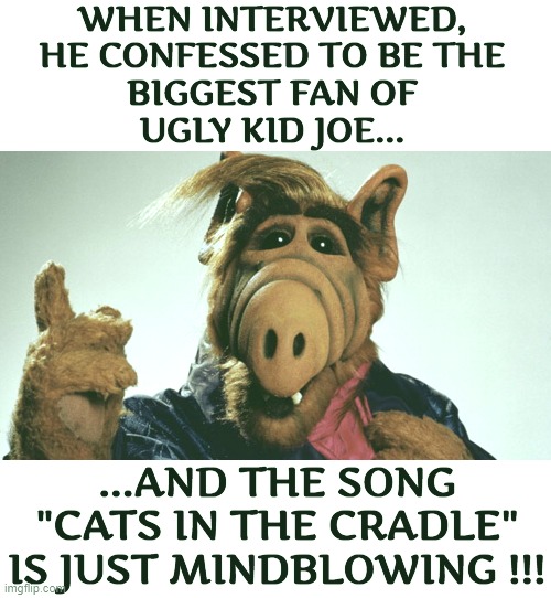 Us elder users will understand | WHEN INTERVIEWED,
HE CONFESSED TO BE THE
BIGGEST FAN OF
UGLY KID JOE... ...AND THE SONG
"CATS IN THE CRADLE"
IS JUST MINDBLOWING !!! | image tagged in funny,meme,alf,heavy metal,hard rock,cats | made w/ Imgflip meme maker