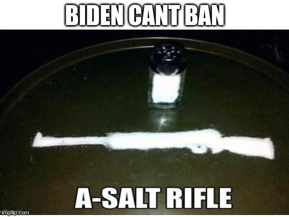 BIDEN CANT BAN | image tagged in guns,memes,jokes | made w/ Imgflip meme maker