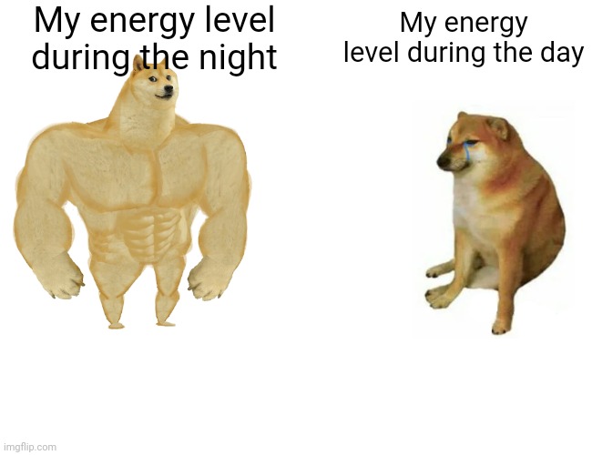 Buff Doge vs. Cheems Meme | My energy level during the night; My energy level during the day | image tagged in memes,buff doge vs cheems | made w/ Imgflip meme maker