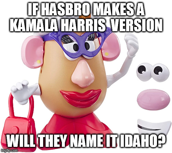 Want flies with that? | IF HASBRO MAKES A KAMALA HARRIS  VERSION; WILL THEY NAME IT IDAHO? | image tagged in humor,mr potato head,funny memes | made w/ Imgflip meme maker