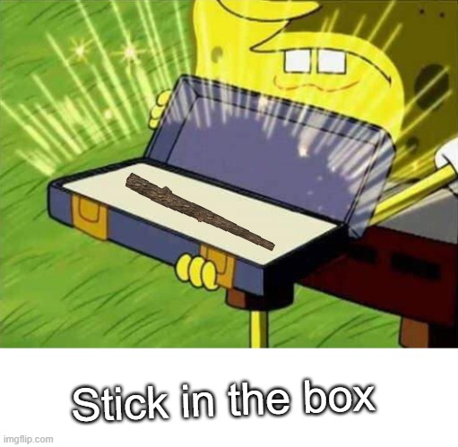 i did it :O | Stick in the box | image tagged in spongebob box,blank white template | made w/ Imgflip meme maker