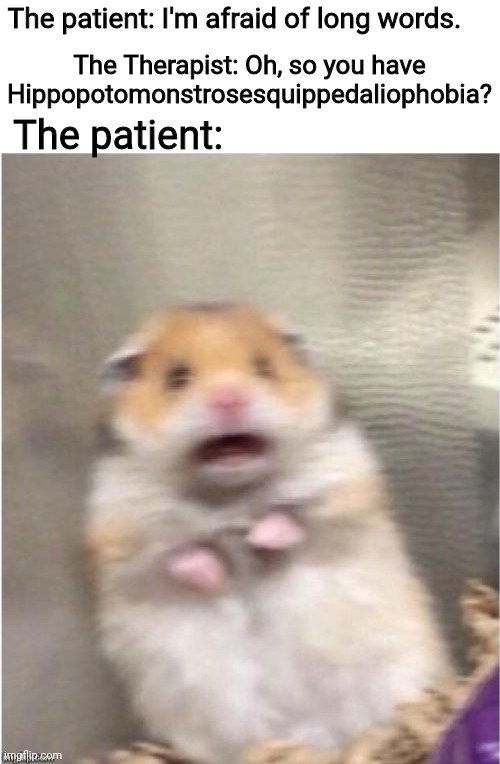 Scared Hamster |  The patient: I'm afraid of long words. The Therapist: Oh, so you have Hippopotomonstrosesquippedaliophobia? The patient: | image tagged in scared hamster | made w/ Imgflip meme maker