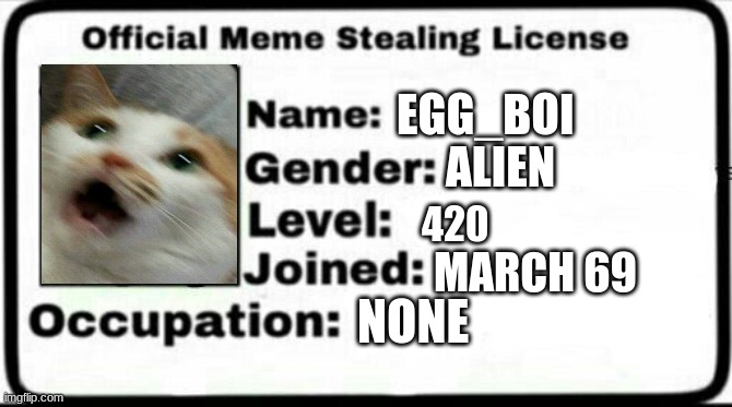 my meme stealing licenceI can steal your meme? | EGG_BOI; ALIEN; 420; MARCH 69; NONE | image tagged in meme stealing license | made w/ Imgflip meme maker