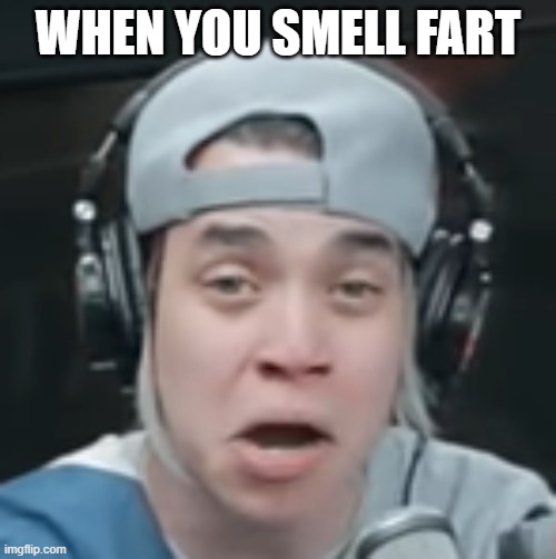 my first meme | WHEN YOU SMELL FART | image tagged in ez mil disgusted face | made w/ Imgflip meme maker