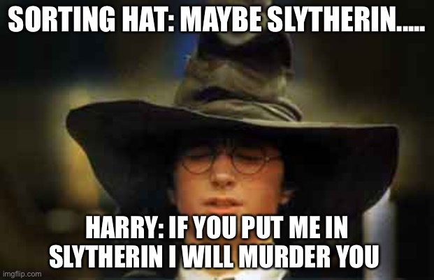 Harry Potter sorting hat | SORTING HAT: MAYBE SLYTHERIN..... HARRY: IF YOU PUT ME IN SLYTHERIN I WILL MURDER YOU | image tagged in harry potter sorting hat | made w/ Imgflip meme maker