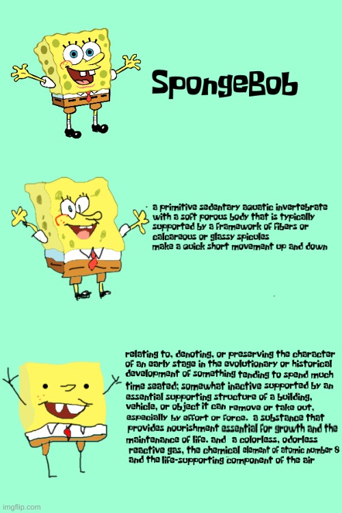finally, we can learn what a spongebob is | image tagged in memes,funny,spongebob,increasingly verbose,yes | made w/ Imgflip meme maker