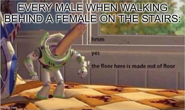 Walking on the Stairs | EVERY MALE WHEN WALKING BEHIND A FEMALE ON THE STAIRS: | image tagged in hmm yes the floor here is made out of floor,funny,funny meme,relatable,awkward | made w/ Imgflip meme maker