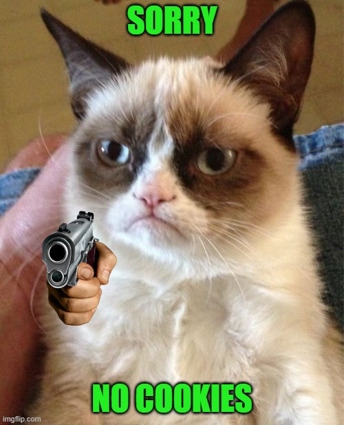 Grumpy Cat Meme | SORRY; NO COOKIES | image tagged in memes,grumpy cat | made w/ Imgflip meme maker