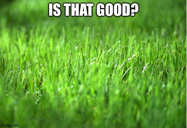 grass is greener | IS THAT GOOD? | image tagged in grass is greener | made w/ Imgflip meme maker