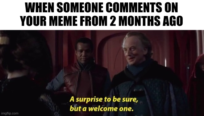 A Surprise to be sure | WHEN SOMEONE COMMENTS ON YOUR MEME FROM 2 MONTHS AGO | image tagged in a surprise to be sure | made w/ Imgflip meme maker
