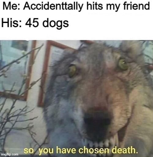 Say goodbye sweetie... | Me: Accidenttally hits my friend; His: 45 dogs | image tagged in so you have chosen death | made w/ Imgflip meme maker