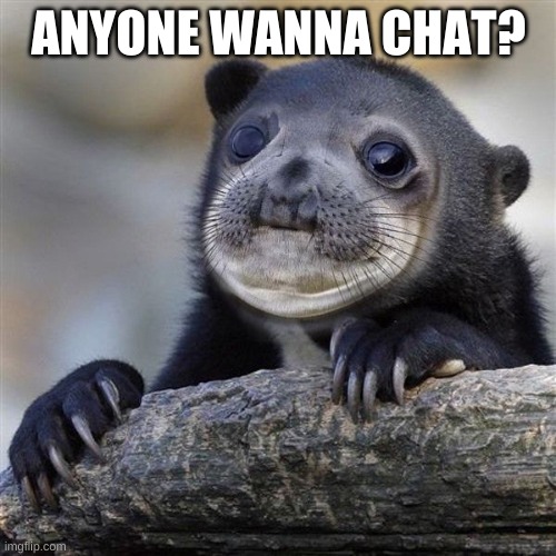 Awkward confession sealbear | ANYONE WANNA CHAT? | image tagged in awkward confession sealbear | made w/ Imgflip meme maker