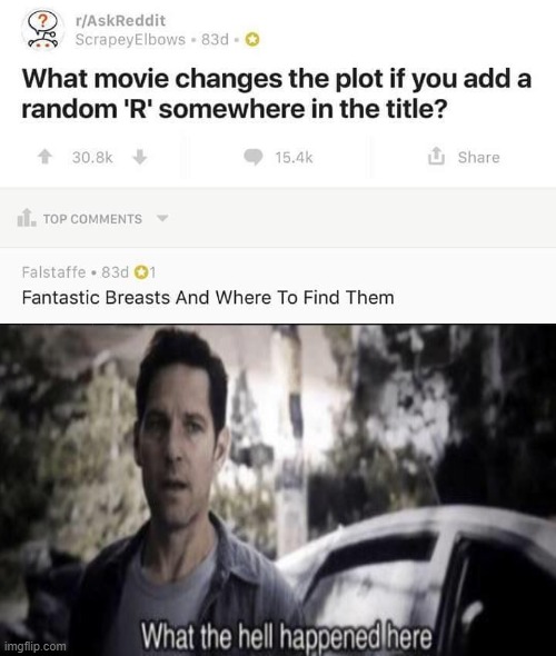 Now I dare you to change the movie title by adding "R" elsewhere... | image tagged in reddit,memes,what the hell happened here,fantastic beasts and where to find them | made w/ Imgflip meme maker