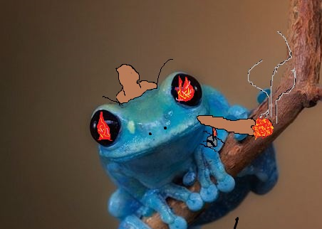 Arson Frog Blank Meme Template