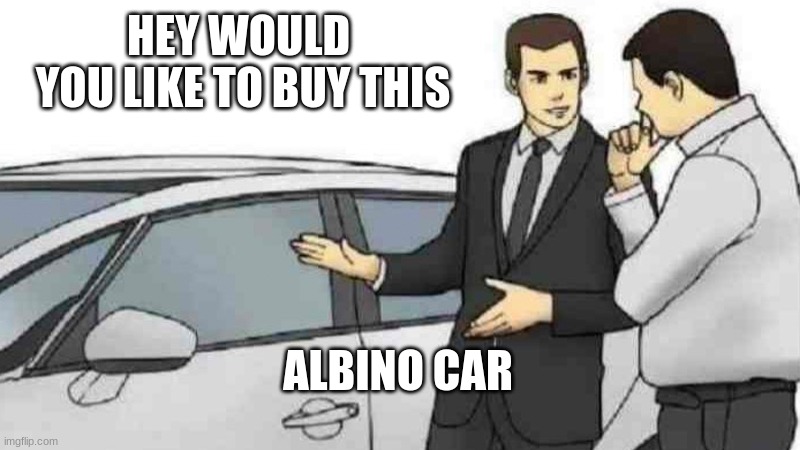 albino car? | HEY WOULD  YOU LIKE TO BUY THIS; ALBINO CAR | image tagged in memes | made w/ Imgflip meme maker