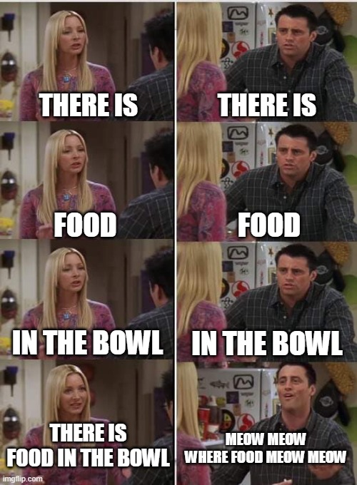 My cat be like | THERE IS; THERE IS; FOOD; FOOD; IN THE BOWL; IN THE BOWL; THERE IS FOOD IN THE BOWL; MEOW MEOW WHERE FOOD MEOW MEOW | image tagged in phoebe joey | made w/ Imgflip meme maker